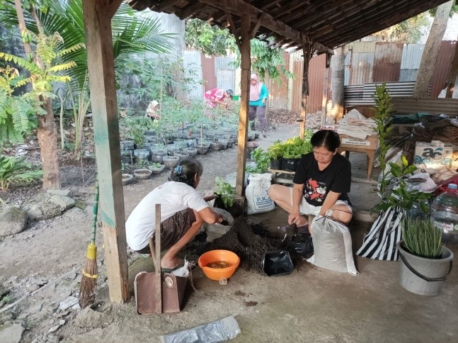 Anggota KWT Dewi Sri, Kampung Sewu tengah merabuk tanaman di selasar teras rumah. (Foto: SPEK-HAM)